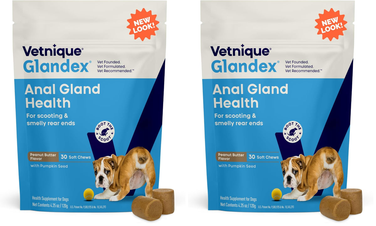 Vetnique Glandex Anal Gland Soft Chew Treats with Pumpkin for Dogs Digestive Enzymes, Probiotics Fiber Supplement for Dogs Boot The Scoot (Advanced Strength Duck/Bacon, 60 Ct)