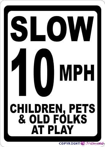 Wall Decor Decoration Sign Warning No Dumping Fine $1000 Sign, This Property Is Protected By Video Surveillance Sign Business Sign Aluminum Metal Tin Sign 8 X 12 Inch