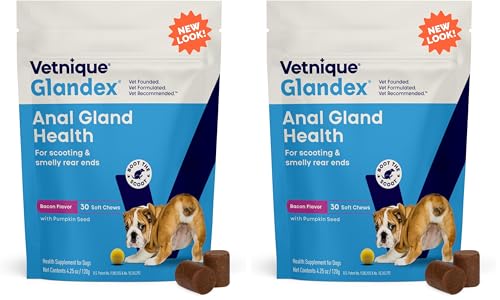 Vetnique Glandex Anal Gland Soft Chew Treats with Pumpkin for Dogs Digestive Enzymes, Probiotics Fiber Supplement for Dogs Boot The Scoot (Advanced Strength Duck/Bacon, 60 Ct)