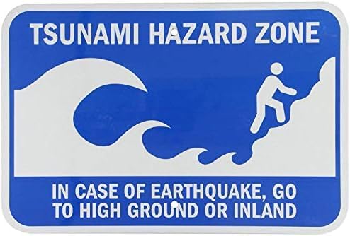 Wall Decor Decoration Sign Warning No Dumping Fine $1000 Sign, This Property Is Protected By Video Surveillance Sign Business Sign Aluminum Metal Tin Sign 8 X 12 Inch