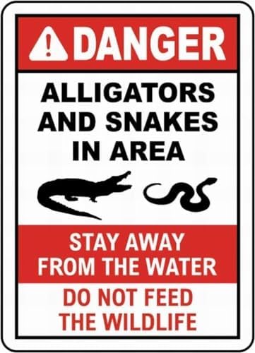 Wall Decor Decoration Sign Warning No Dumping Fine $1000 Sign, This Property Is Protected By Video Surveillance Sign Business Sign Aluminum Metal Tin Sign 8 X 12 Inch