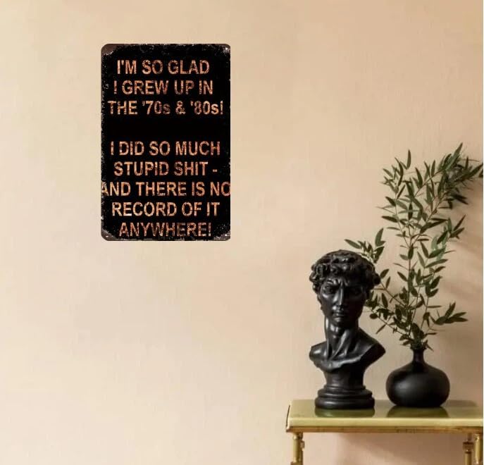 I'm So Glad I Grew Up in the 70s & 80s Metal Sign, Vintage Retro Tin Plaque with Funny "No Record" Quote, Wall Decor for Man Cave, Garage, Bar, Home & Nostalgia Gifts 8 Inch X 12 Inch
