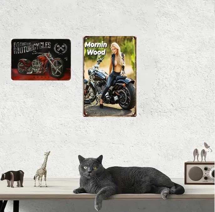 Vintage Motorcycle Metal Tin Sign, Decorative Wall Plaque, 8 x 12 inches, Rustic Design