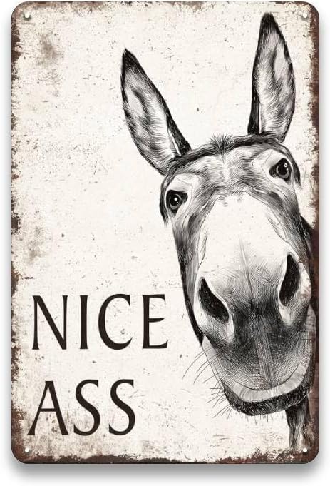 Nice Ass Metal Sign - Donkey Bathroom Sign Decor Funny, Humor Vintage Signs for Bathroom, Restroom, Farmhouse, Home Wall Decor Art, Cool Donkey Gifts for Women Men, 8 x 12 inch