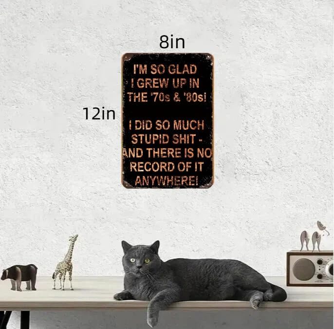 I'm So Glad I Grew Up in the 70s & 80s Metal Sign, Vintage Retro Tin Plaque with Funny "No Record" Quote, Wall Decor for Man Cave, Garage, Bar, Home & Nostalgia Gifts 8 Inch X 12 Inch
