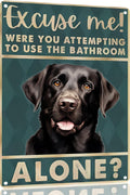 Boston Terrier Dog 12x8 inch excuse me were you attempting to use the bathroom alone - Dog Metal Poster Dog Lover Gift Art Funny Dogs Wall Art Decoration Retro Metal Tin Sign(1492)