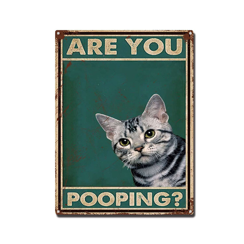 THUANCKY Metal Sign are You Pooping Cat Bathroom Funny Novelty Funny Metal Sign Wall Decor Man Cave Bar 8x12inch Tin Sign