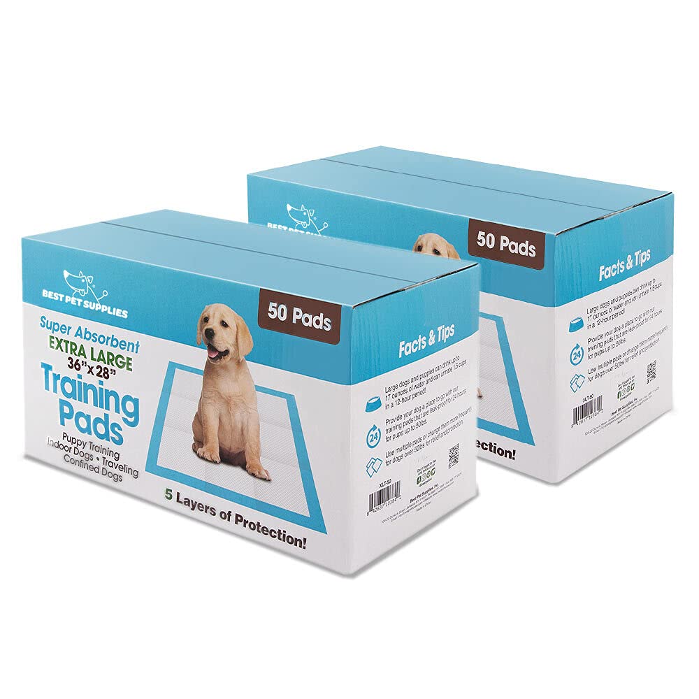 Best Pet Supplies XL (36 x 28 Inches) Puppy Pads 40 Count - Super Absorbent Dog Training Pads, Quick-Dry, Odor Control, Disposable Pee Pads, Leak-Proof Wee Wee Pads for Indoor Dogs – Baby Blue
