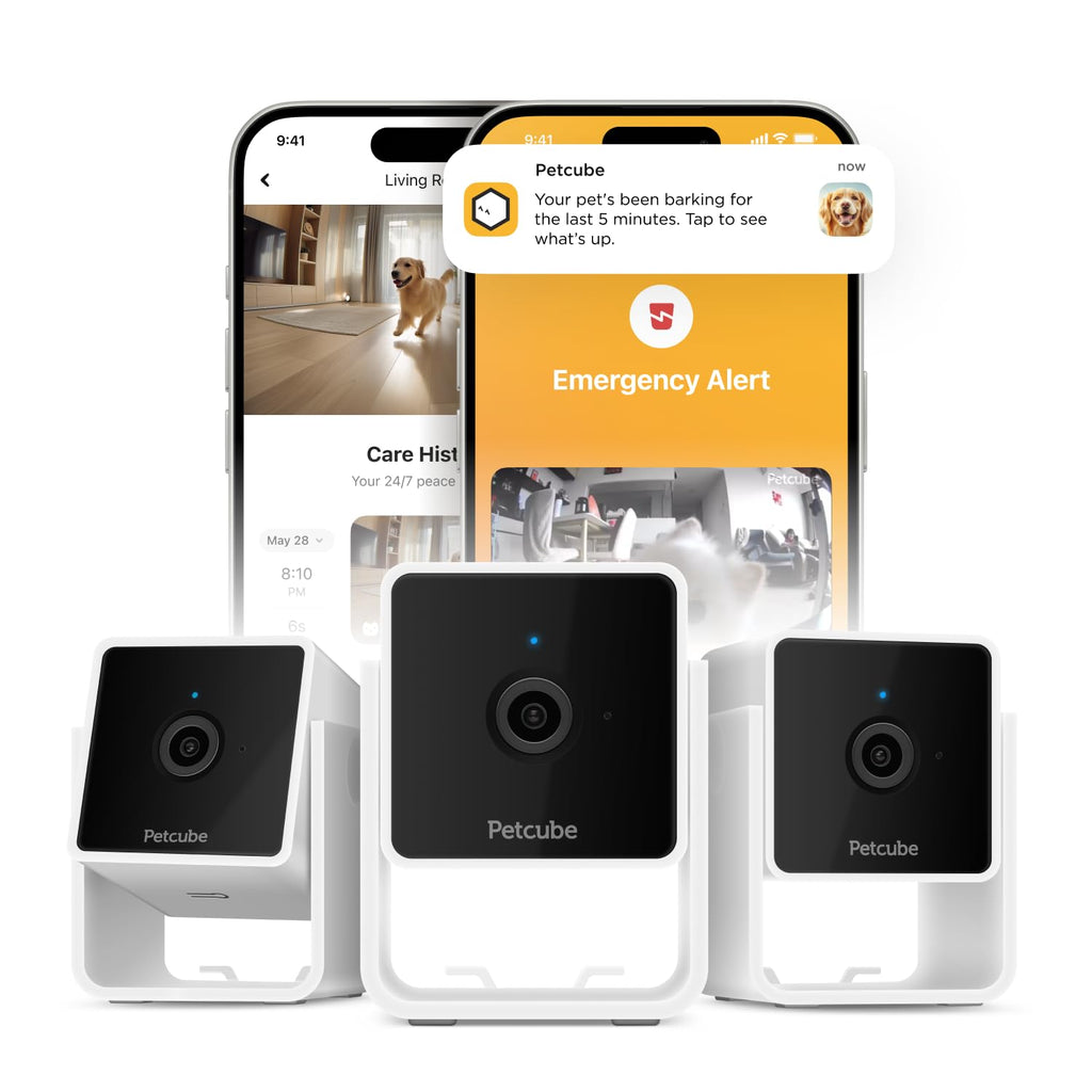 Petcube Cam | Indoor Wi-Fi Pet and Security Camera with Phone App, Pet Monitor with 2-Way Audio and Video, Night Vision, 1080p HD Video and Smart Alerts for Ultimate Home Security