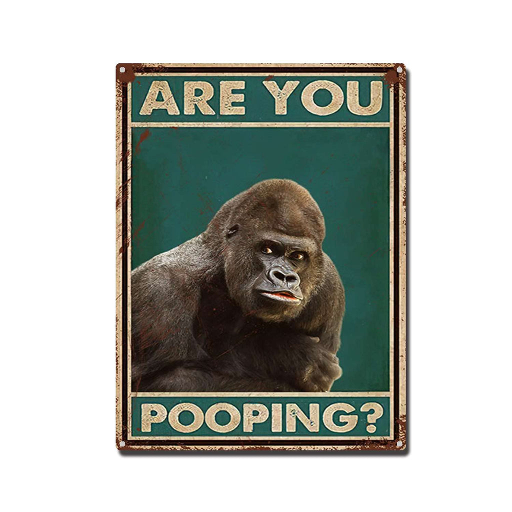 THUANCKY Metal Sign are You Pooping Cat Bathroom Funny Novelty Funny Metal Sign Wall Decor Man Cave Bar 8x12inch Tin Sign