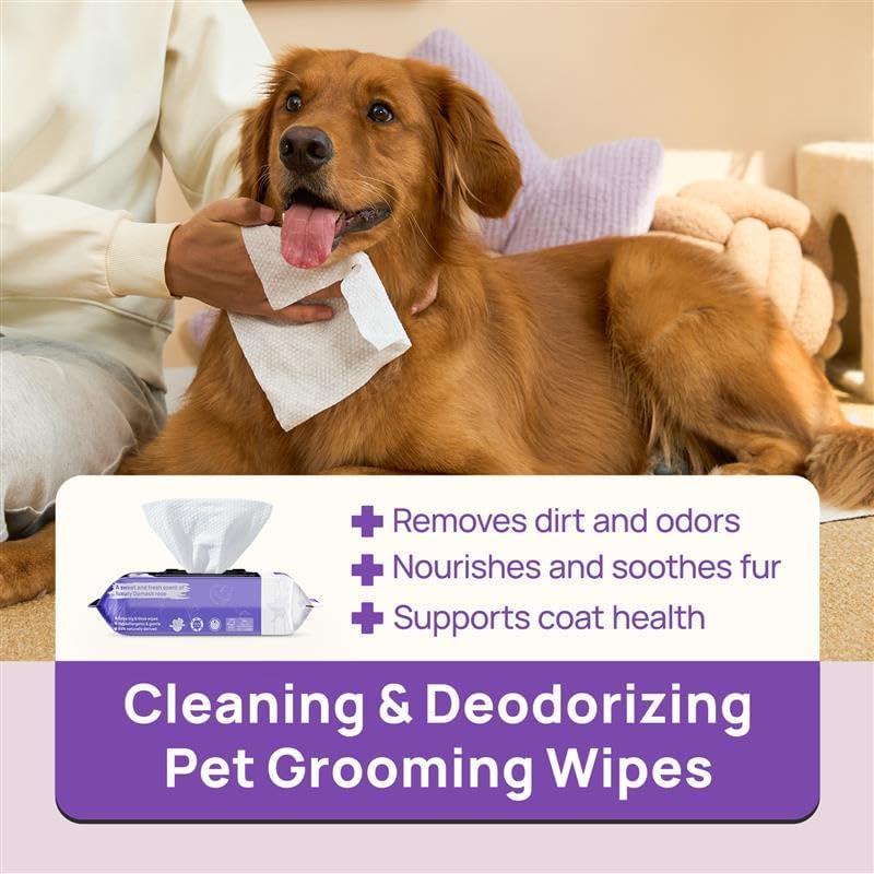 HICC PET Wipes for Dogs and Cats, Vet-Recommended Hypoallergenic Dog Wipes for Paws, Butt and Fur, Dog Cleaning Wipes & Dog Bath Wipes, Deodorizing Grooming Wipes for Dogs, Cats, Horse, 100 Count | Pet Wipes for Paws & Butt, Dog Bath Wipes, Deodorizing Cl