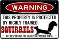 Squirrel Protected By Squirrels Warning Beware Of Squirrel Sign Funny Metal Tin Sign Aluminum Sign Poster Warning Signs For Pets Outside The Home 8x12 Inch, white black