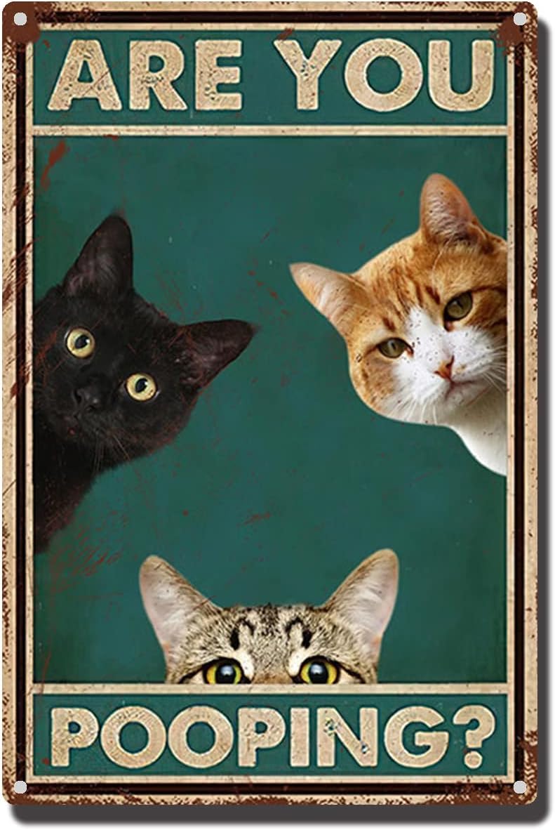 THUANCKY Metal Sign are You Pooping Cat Bathroom Funny Novelty Funny Metal Sign Wall Decor Man Cave Bar 8x12inch Tin Sign