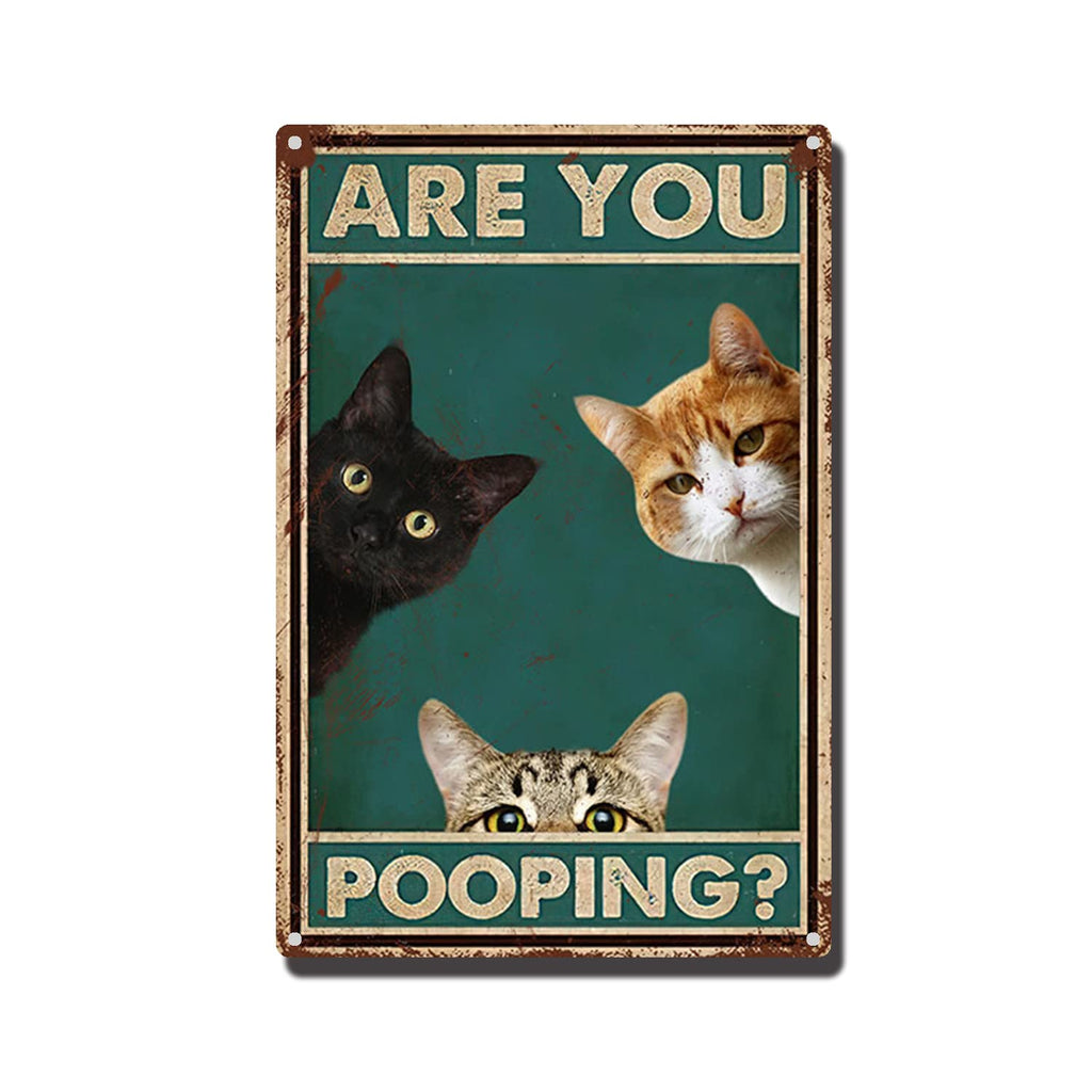 THUANCKY Metal Sign are You Pooping Cat Bathroom Funny Novelty Funny Metal Sign Wall Decor Man Cave Bar 8x12inch Tin Sign