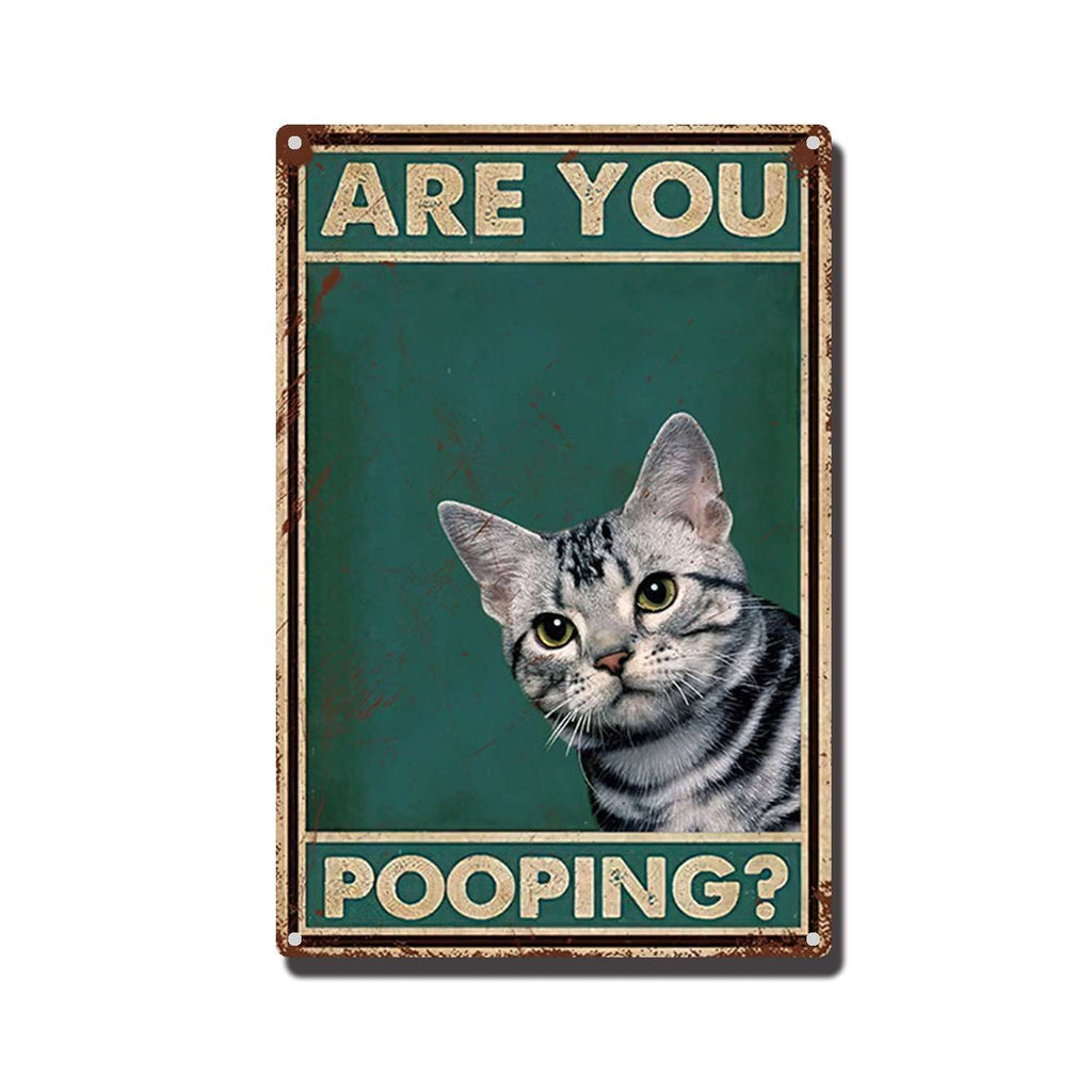 THUANCKY Metal Sign are You Pooping Cat Bathroom Funny Novelty Funny Metal Sign Wall Decor Man Cave Bar 8x12inch Tin Sign