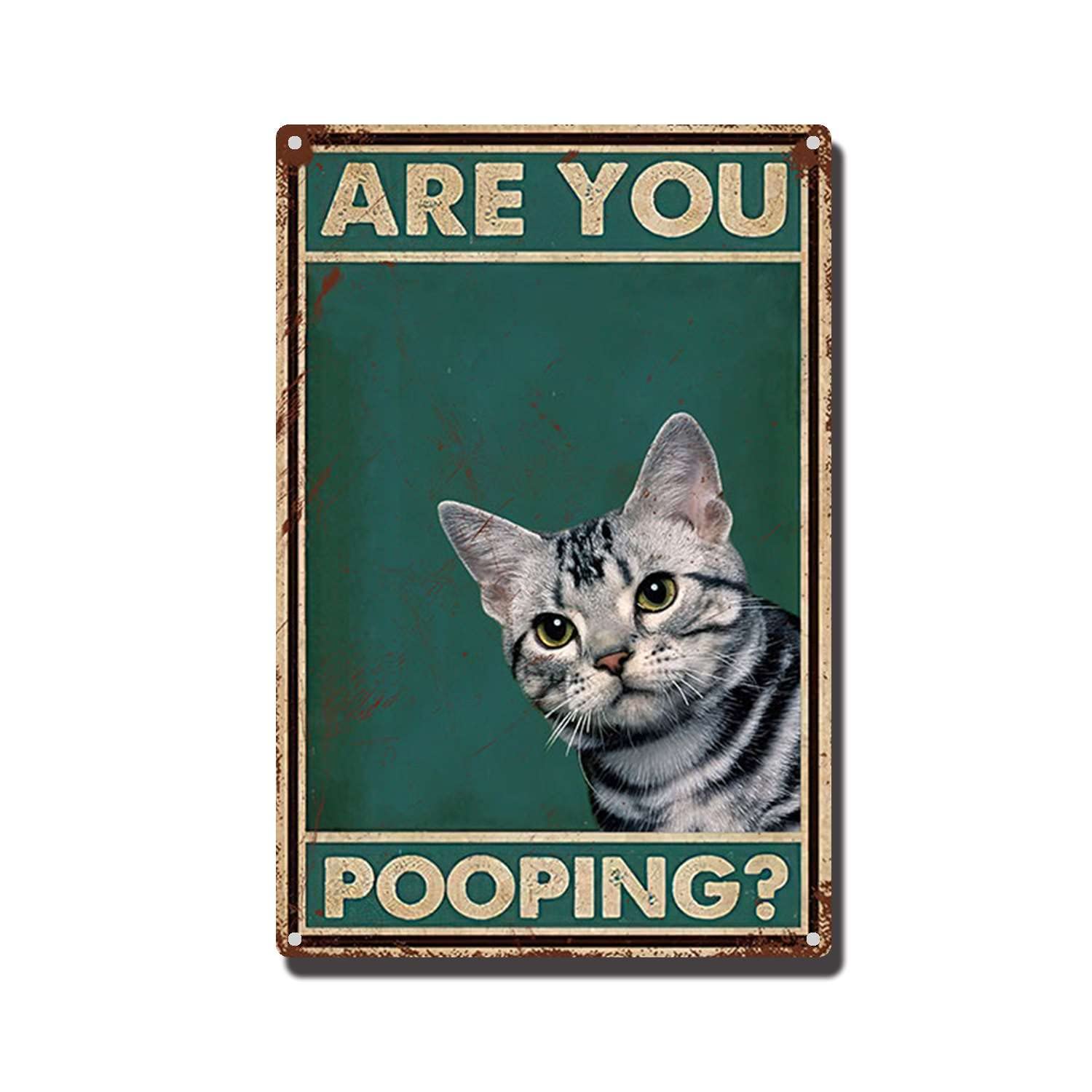 THUANCKY Metal Sign are You Pooping Cat Bathroom Funny Novelty Funny Metal Sign Wall Decor Man Cave Bar 8x12inch Tin Sign