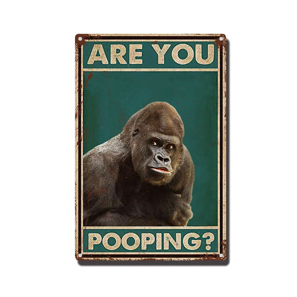 THUANCKY Metal Sign are You Pooping Cat Bathroom Funny Novelty Funny Metal Sign Wall Decor Man Cave Bar 8x12inch Tin Sign