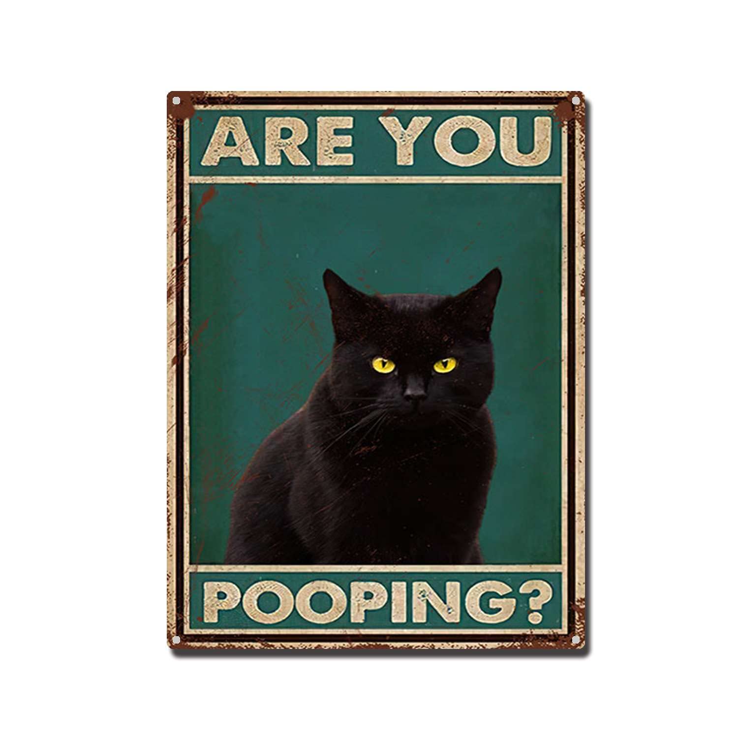 THUANCKY Metal Sign are You Pooping Cat Bathroom Funny Novelty Funny Metal Sign Wall Decor Man Cave Bar 8x12inch Tin Sign