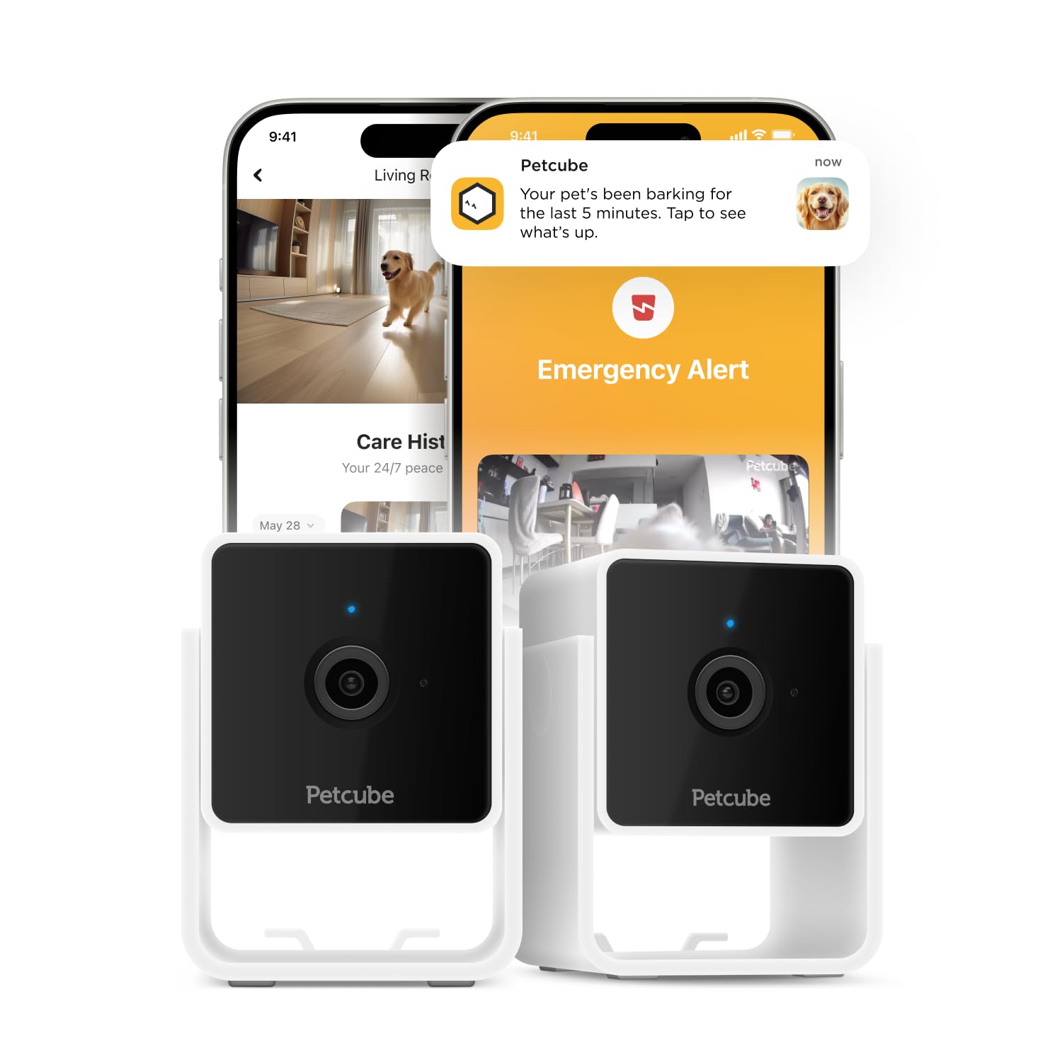 Petcube Cam | Indoor Wi-Fi Pet and Security Camera with Phone App, Pet Monitor with 2-Way Audio and Video, Night Vision, 1080p HD Video and Smart Alerts for Ultimate Home Security