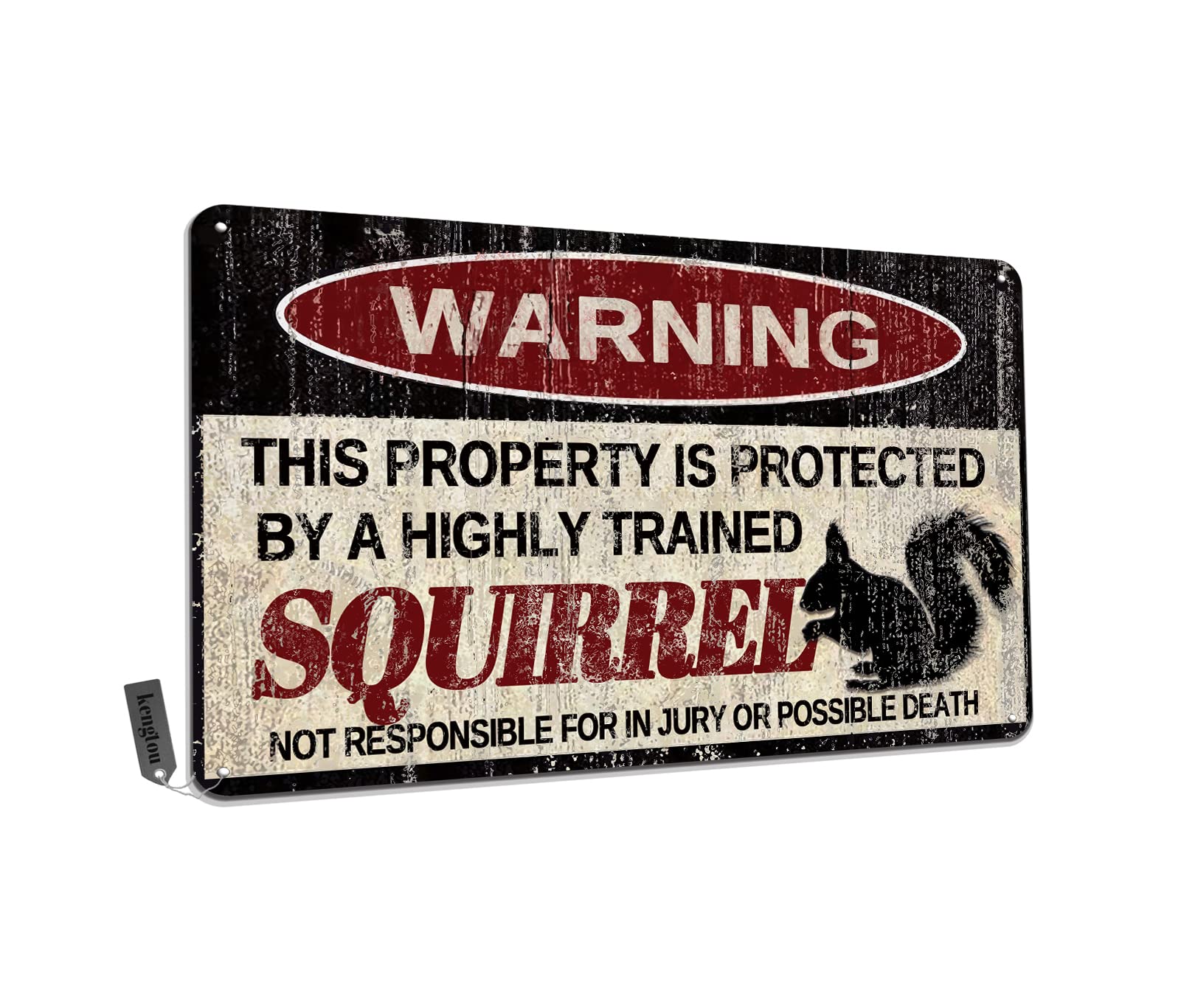 Chickens Tin Sign, Funny Metal Sign, Vintage Wall Decor 12x8 Inch - Warning This Property Protected by Chickens