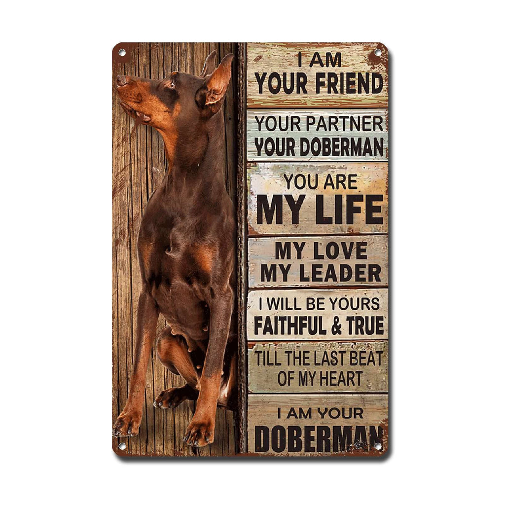 Lygond Metal Sign Tin Sign Vintage Wall Art I Am Your Friend Gift for Boxer Lovers Dog Lovers Vintage Wall Art Prints Restroom Tin Sign for Pub 8×12 Inches