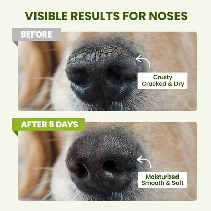 PawSono Lick-Safe Dog Paw & Nose Balm with Coconut Oil | All-Natural Moisturizer & Soother for Dry, Cracked Pads & Snout | Heat & Cold Pavement Protection Wax | Horse Hoof, Joint Care (1.3 oz