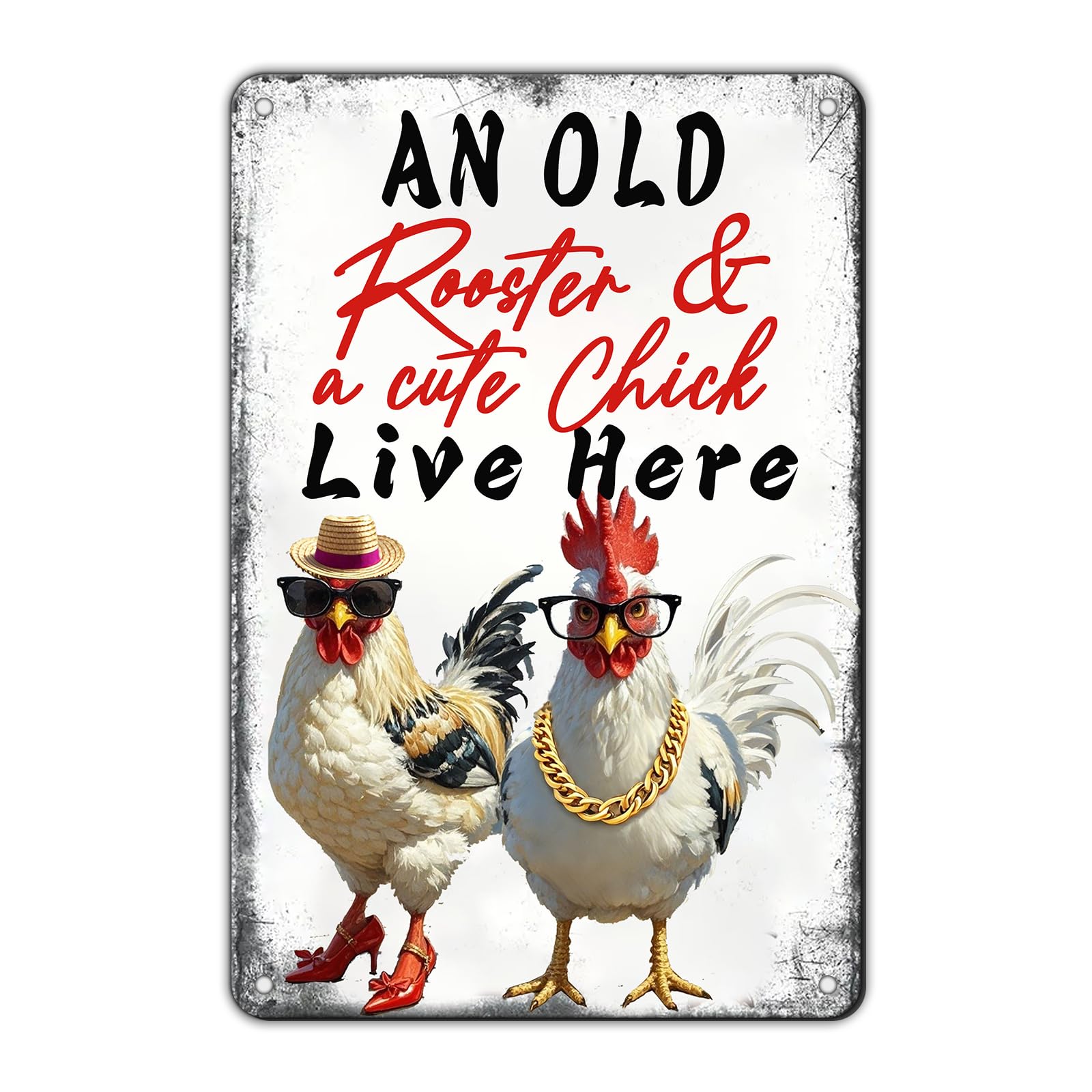 Chicken Metal Signs Rooster Kitchen Wall Decor Today I Will Pry More Worry Less Tin Sign 12x8 Inch Funny Chicken Coop Accessories Rooster Home Farm Yard Garden Decor