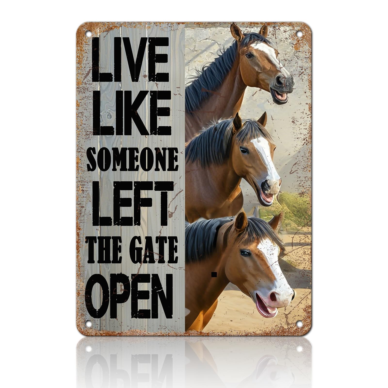 Funny Don'T Expect Me Normal Metal Tin Sign 12x8 Inch Horse Tin Sign Don'T Expect Me Normal Horse Poster Home Kitchen Garden Bar Restaurant Coffee Are Wall Decor