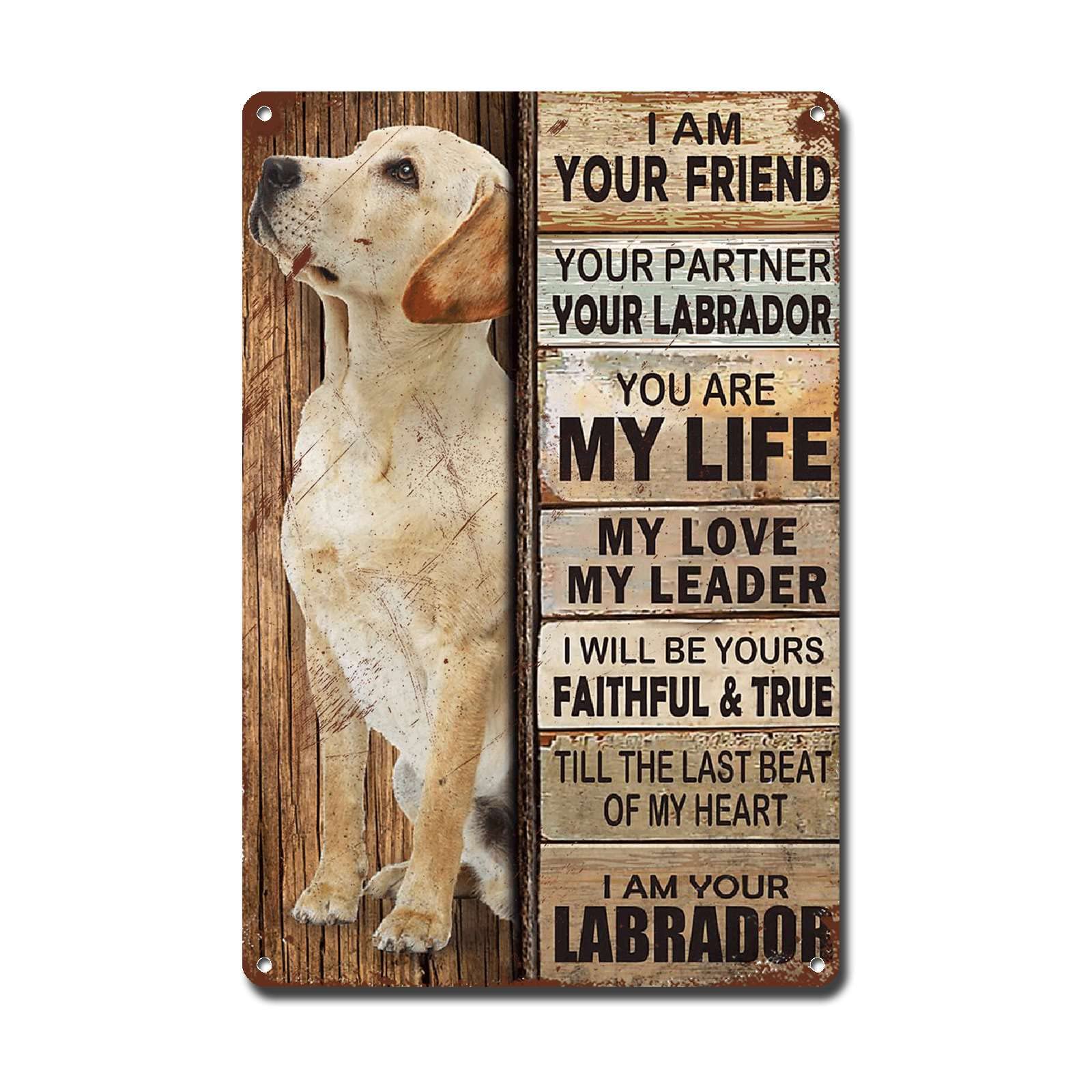 Lygond Metal Sign Tin Sign Vintage Wall Art I Am Your Friend Gift for Boxer Lovers Dog Lovers Vintage Wall Art Prints Restroom Tin Sign for Pub 8×12 Inches