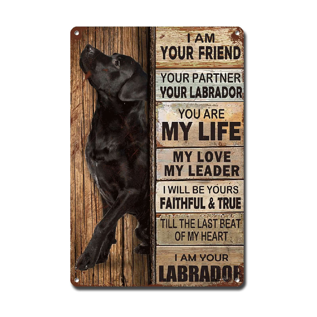 Lygond Metal Sign Tin Sign Vintage Wall Art I Am Your Friend Gift for Boxer Lovers Dog Lovers Vintage Wall Art Prints Restroom Tin Sign for Pub 8×12 Inches
