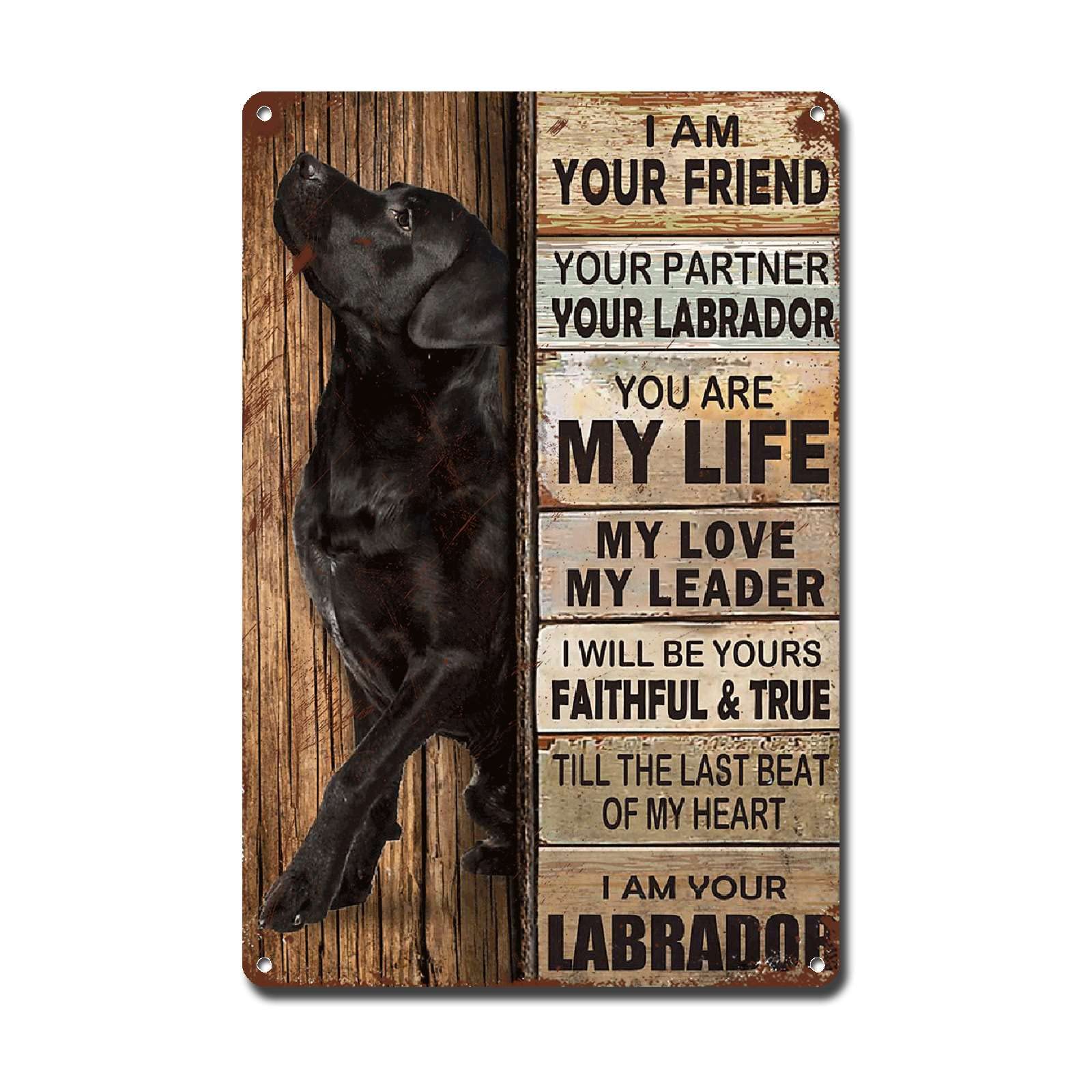 Lygond Metal Sign Tin Sign Vintage Wall Art I Am Your Friend Gift for Boxer Lovers Dog Lovers Vintage Wall Art Prints Restroom Tin Sign for Pub 8×12 Inches
