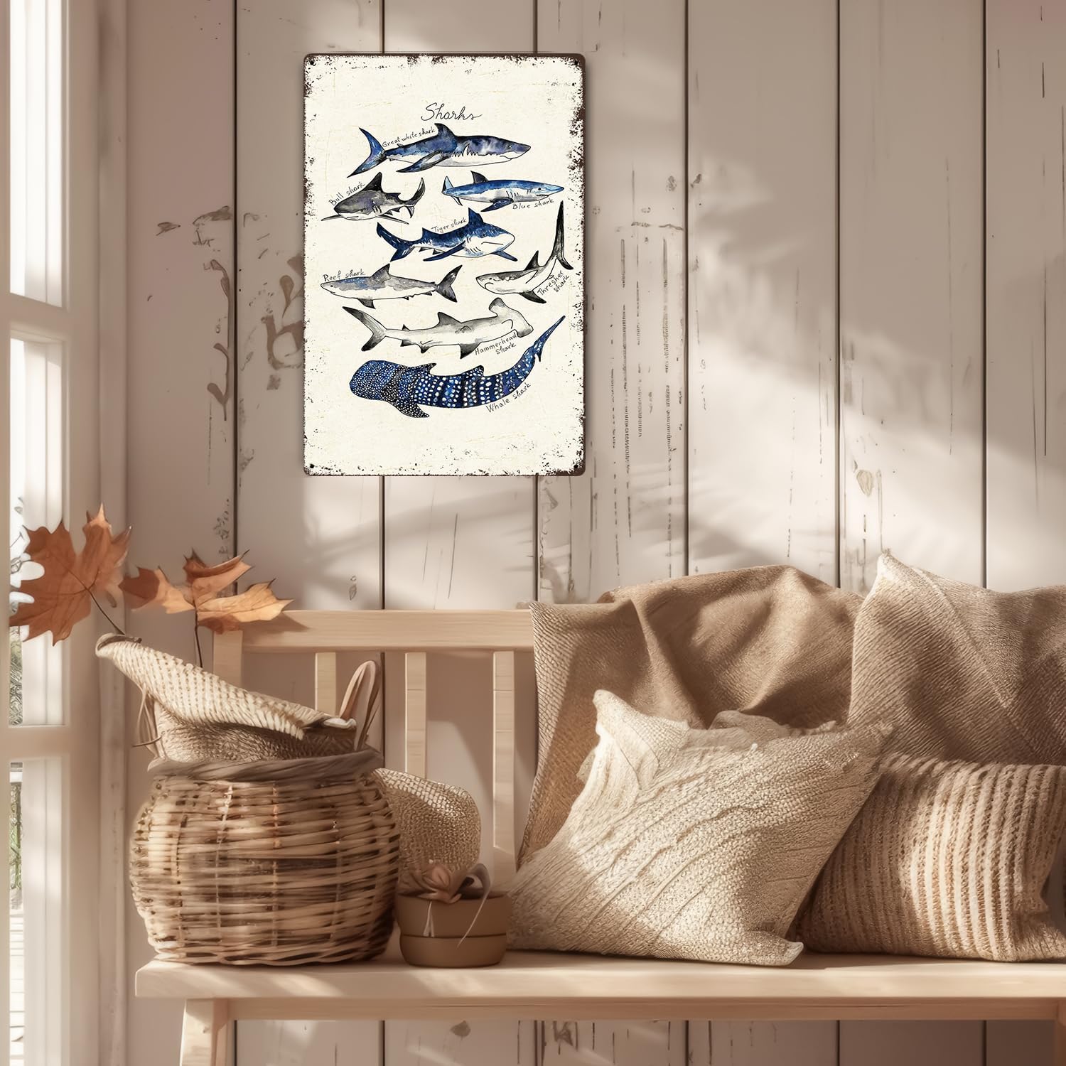 Znzd Shark Decor Types Of Watercolor Shark Poster Shark Knowledge tin signs vintage Ocean Animal Posters Shark Decor for Bedroom Science Wall Art Marine Biology Gifts for Shark Lovers 8x12 Inch
