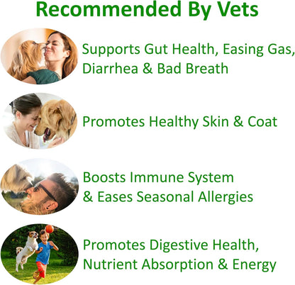 TummyWorks Probiotics for Dogs. 120 Probiotic Soft Chews for Digestive Health, Gut, Immunity, Energy, Allergies, Skin & Coat. 10 Strains, 5 Billion CFUs with 6 Enzymes. Made in USA