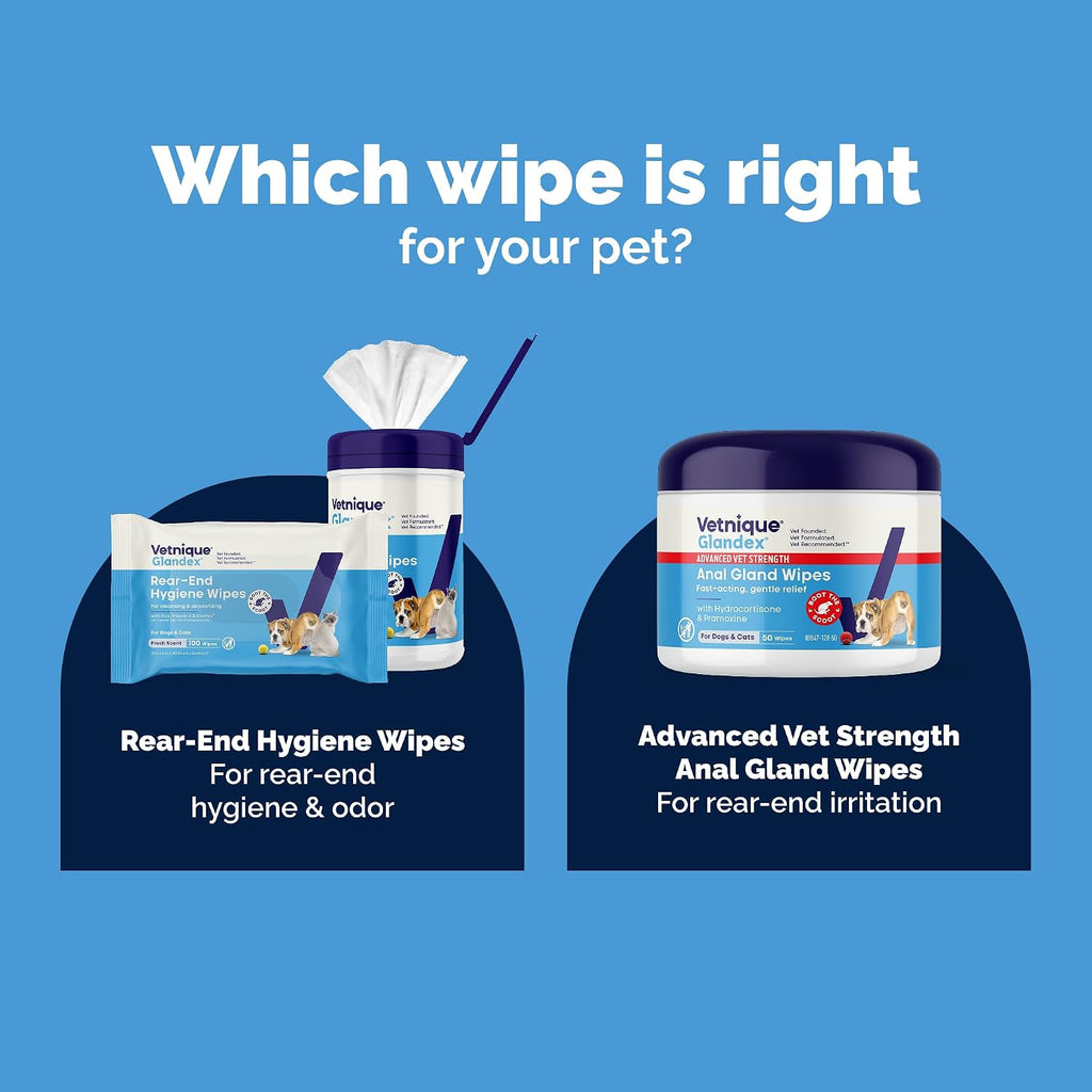 Vetnique Glandex Rear End Wipes for Dogs & Cats, Anal Gland Hygiene & Deodorizing Dog Wipes for Paws and Butt, Boot The Scoot with DeoPlex Enzyme, Aloe & Vitamin E (75ct)