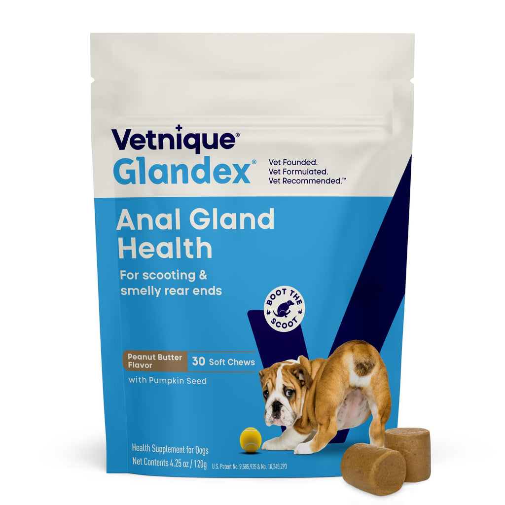 Vetnique Glandex Anal Gland Soft Chew Treats with Pumpkin for Dogs Digestive Enzymes, Probiotics Fiber Supplement for Dogs Boot The Scoot (Advanced Strength Duck/Bacon, 60 Ct)