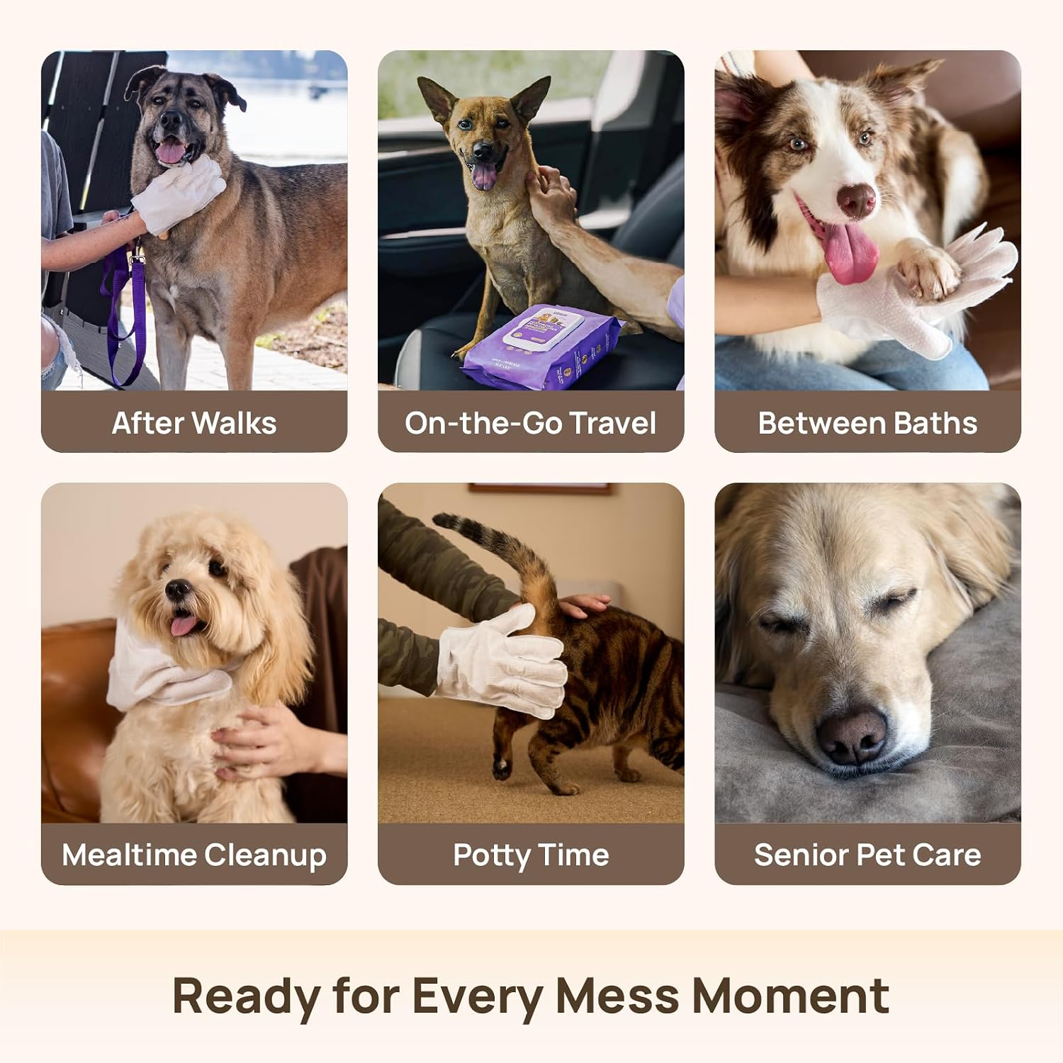 HICC PET Dog Wipes Cleaning Deodorizing Glove Wipes for Dogs, Cats & Horses, Vet Recommended Hypoallergenic Hydrating & Nourishing Pet Wipes for Eyes, Ears, Butt & Paws, No-Rinse, 6pcs Coconut Scent
