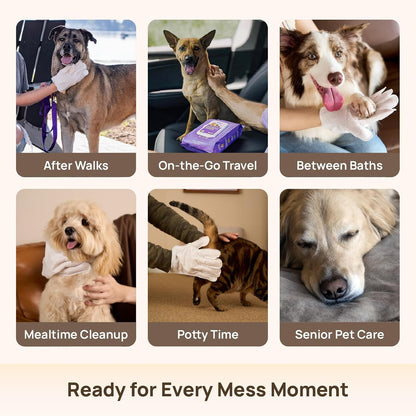 HICC PET Dog Wipes Cleaning Deodorizing Glove Wipes for Dogs, Cats & Horses, Vet Recommended Hypoallergenic Hydrating & Nourishing Pet Wipes for Eyes, Ears, Butt & Paws, No-Rinse, 6pcs Coconut Scent