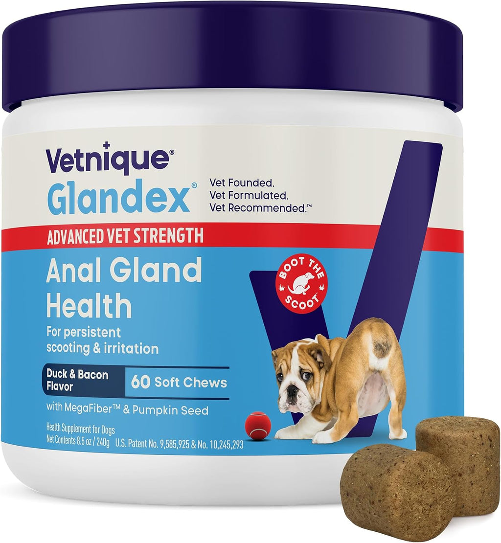 Vetnique Glandex Anal Gland Soft Chew Treats with Pumpkin for Dogs Digestive Enzymes, Probiotics Fiber Supplement for Dogs Boot The Scoot (Advanced Strength Duck/Bacon, 60 Ct)