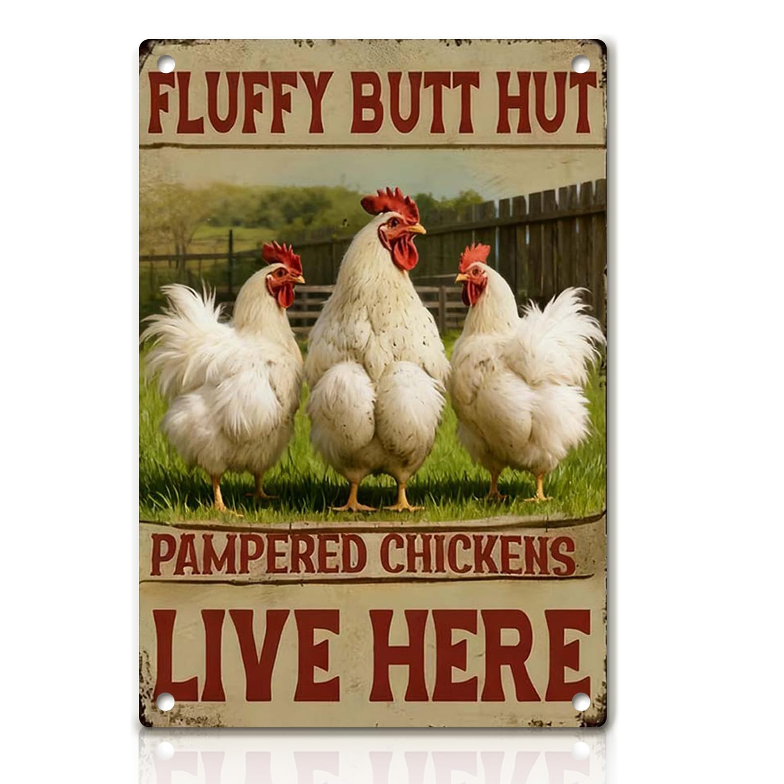 Chicken Metal Decor Sign Vintage Metal Tin Sign Wall Art Decor Cool Chicks Live Here Chicken Coop Signs Accessories for Outdoor Decorations Gifts for Women and Hen Lovers 8 X 12 Inch