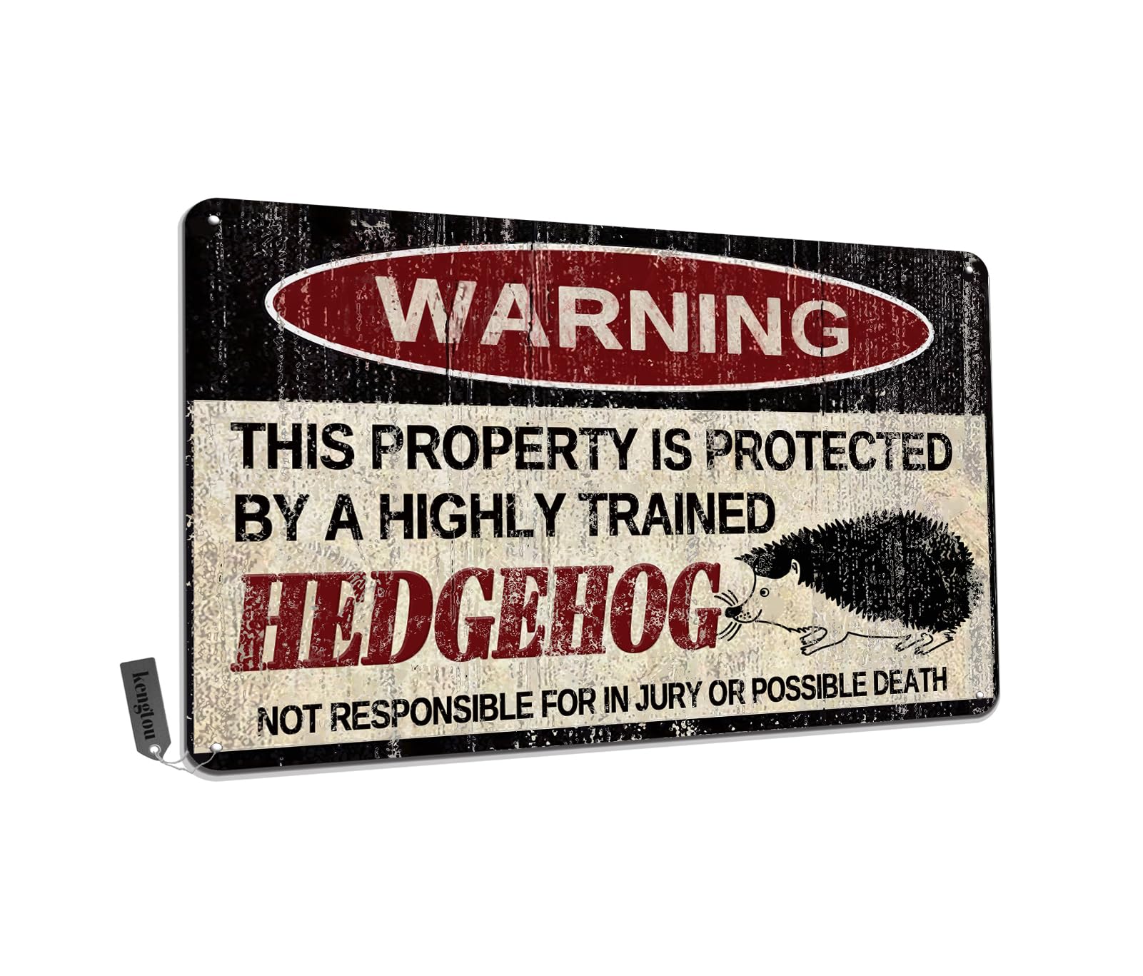 Chickens Tin Sign, Funny Metal Sign, Vintage Wall Decor 12x8 Inch - Warning This Property Protected by Chickens