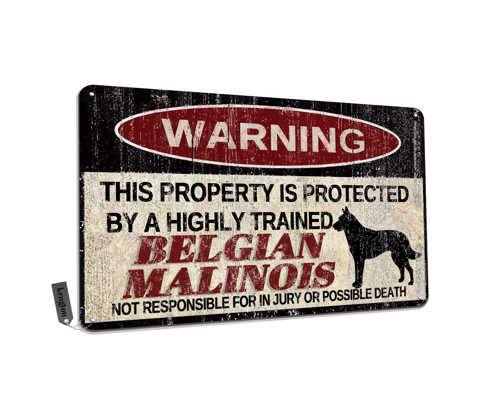Chickens Tin Sign, Funny Metal Sign, Vintage Wall Decor 12x8 Inch - Warning This Property Protected by Chickens