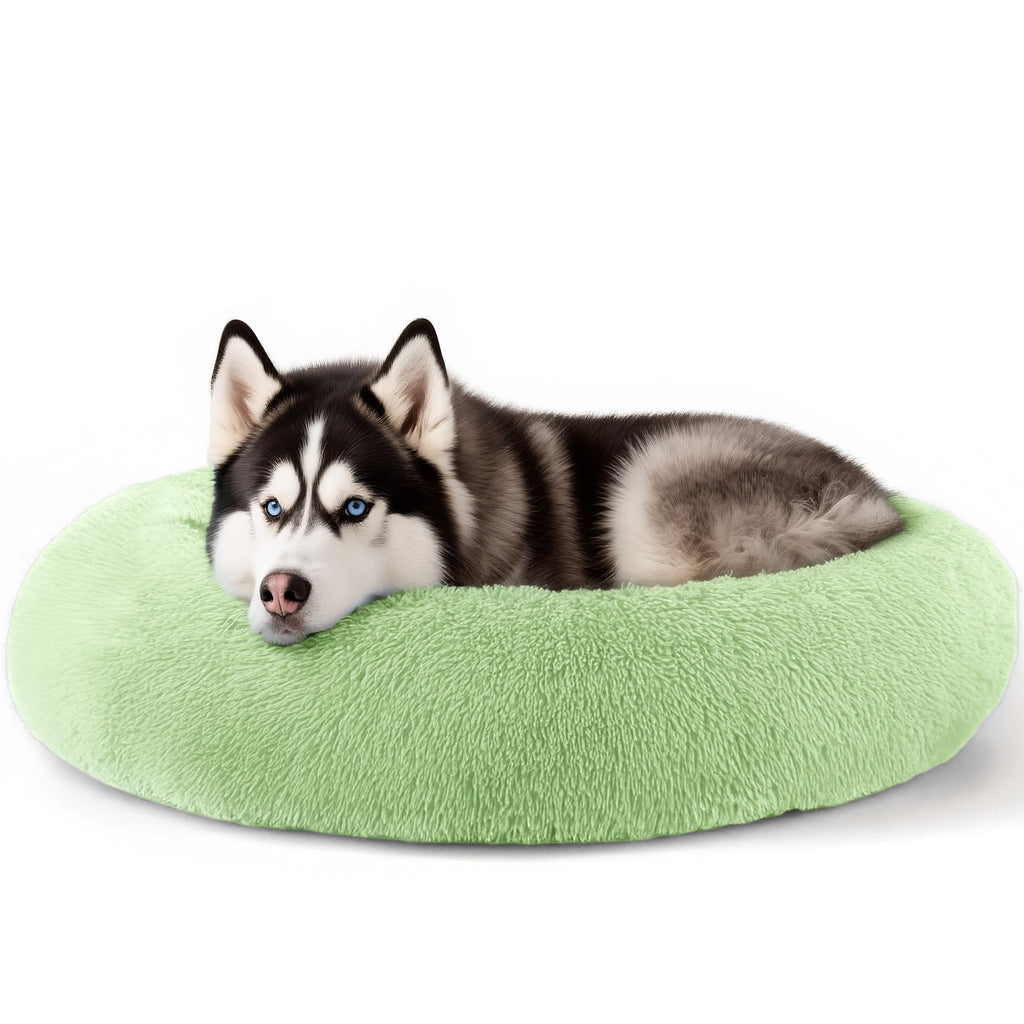 Hoewina Dog & Cat Bed for Indoor Cats, 20in Calming Donut Bed for Puppy and Kitten, Washable Round Fluffy Pet Bed for Small Medium Dogs and Cats (Light Grey)