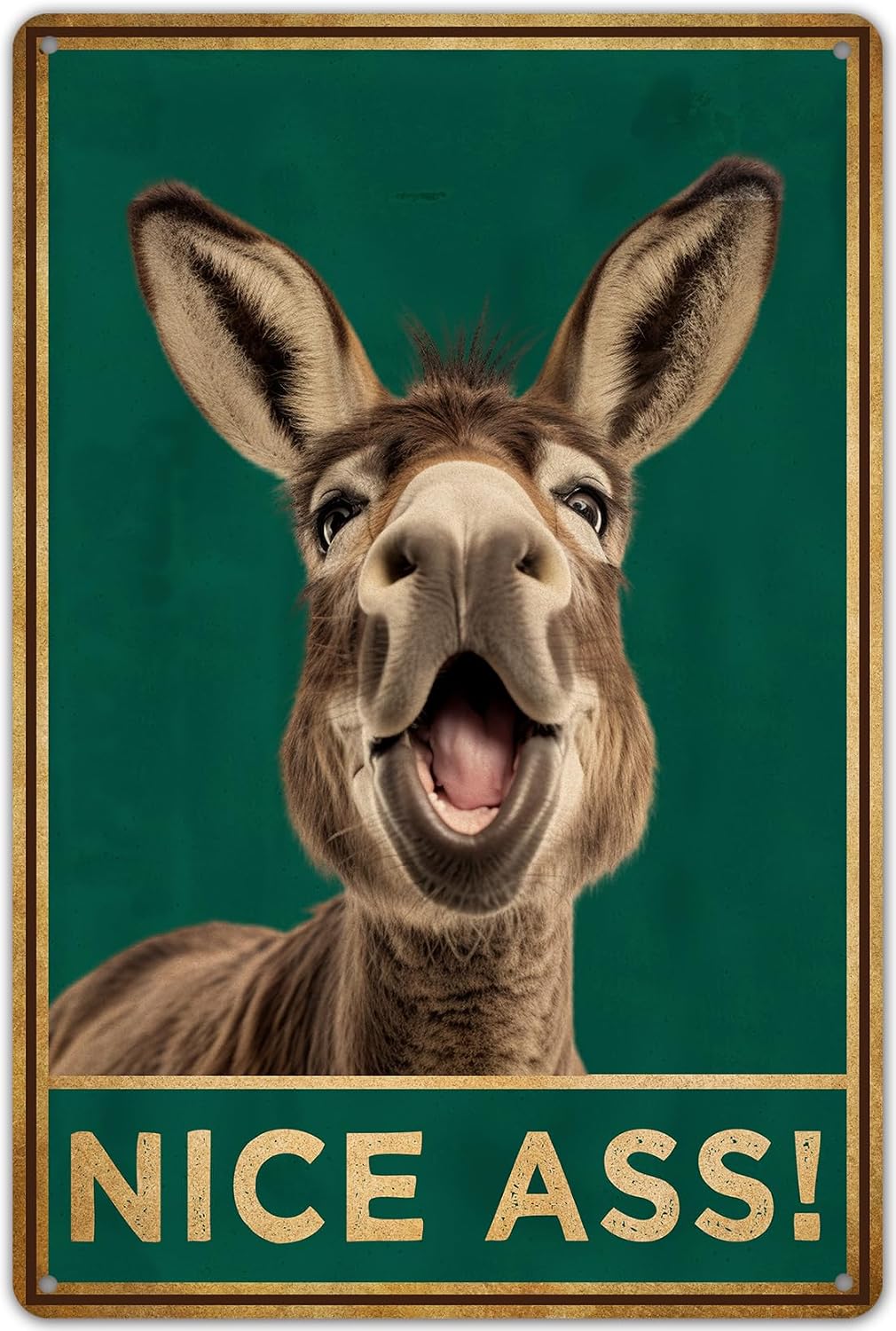 KENSILO Funny Donkey Bathroom Decor, Nice Ass Metal Tin Sign Wall Decor Farmhouse Sign for Toilet Restroom Washroom Decor Gifts 8x12 Inch