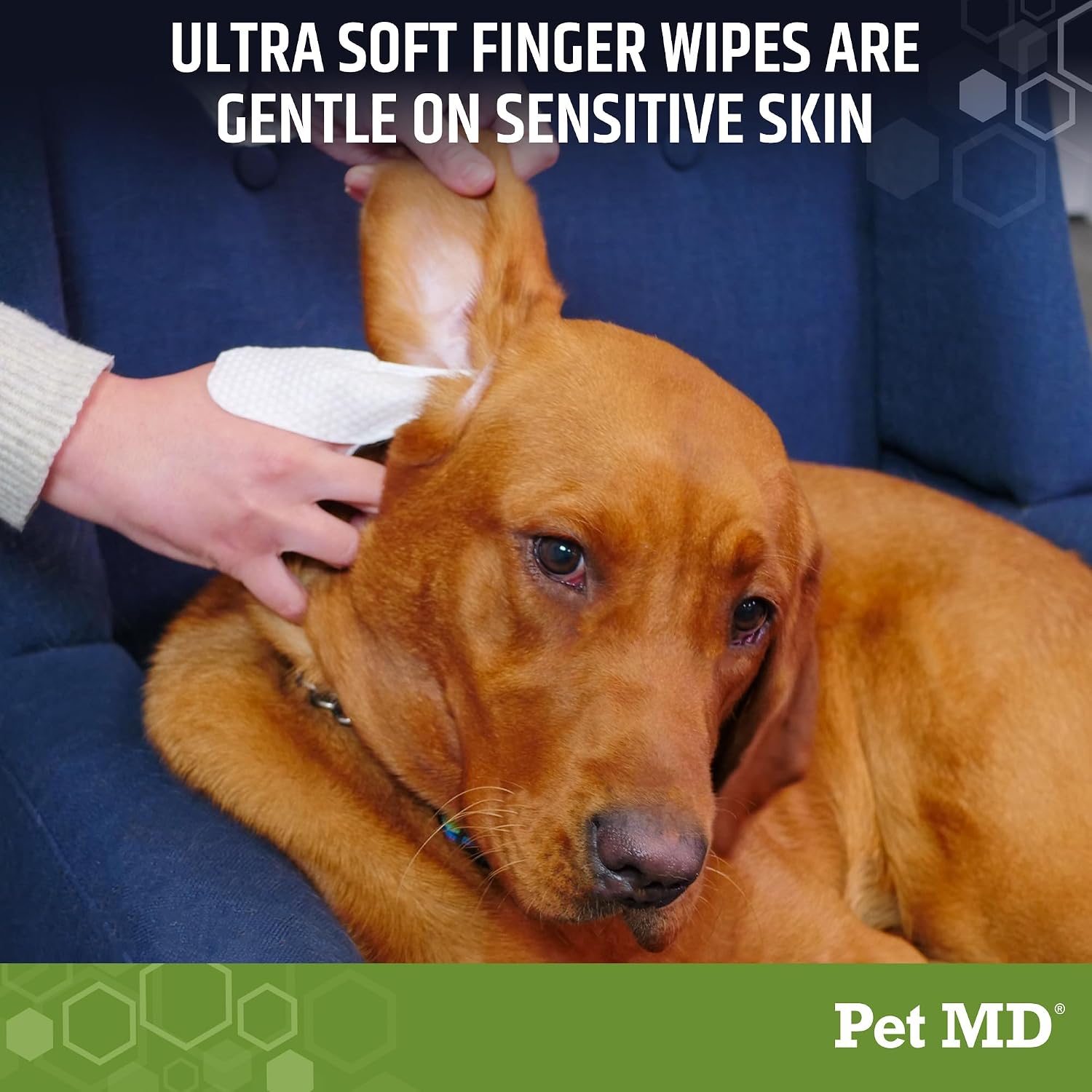 Pet MD Dog Ear Cleaning Wipes - with Eucalyptus & Aloe Vera for Dogs - 50ct | Extra-Coverage and Large Design - Alcohol-Free Pet Ear Cleaning Finger Wipes to Remove Dirt, Debris, and Wax