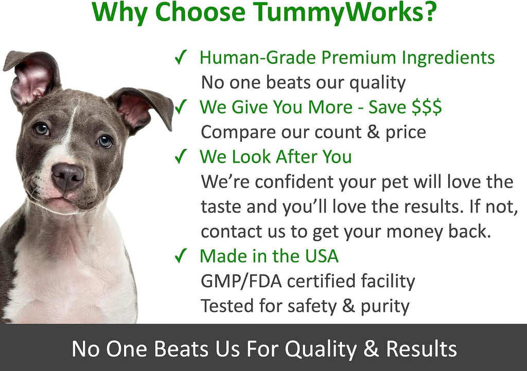 TummyWorks Probiotics for Dogs. 120 Probiotic Soft Chews for Digestive Health, Gut, Immunity, Energy, Allergies, Skin & Coat. 10 Strains, 5 Billion CFUs with 6 Enzymes. Made in USA