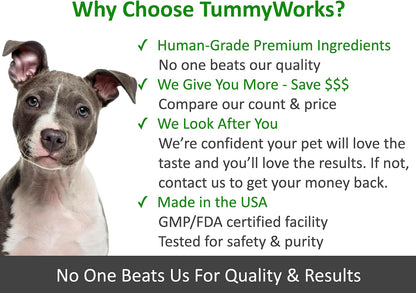 TummyWorks Probiotics for Dogs. 120 Probiotic Soft Chews for Digestive Health, Gut, Immunity, Energy, Allergies, Skin & Coat. 10 Strains, 5 Billion CFUs with 6 Enzymes. Made in USA