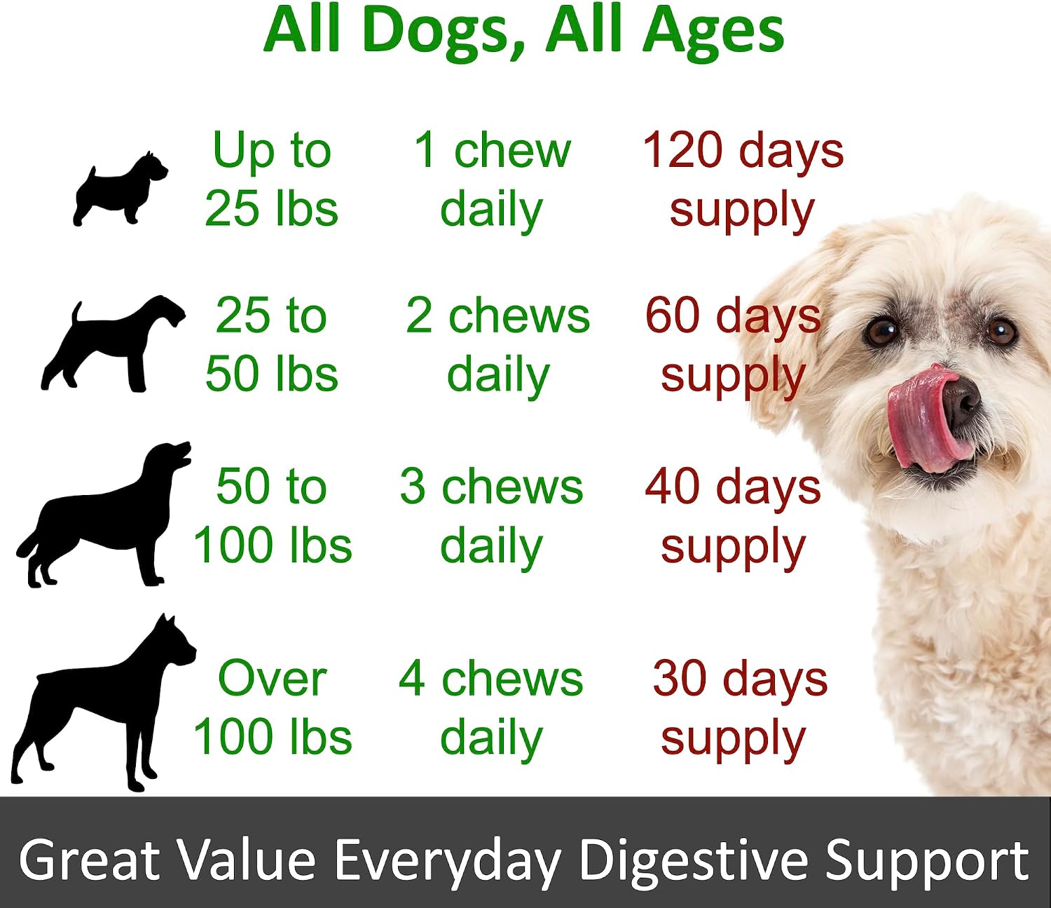 TummyWorks Probiotics for Dogs. 120 Probiotic Soft Chews for Digestive Health, Gut, Immunity, Energy, Allergies, Skin & Coat. 10 Strains, 5 Billion CFUs with 6 Enzymes. Made in USA