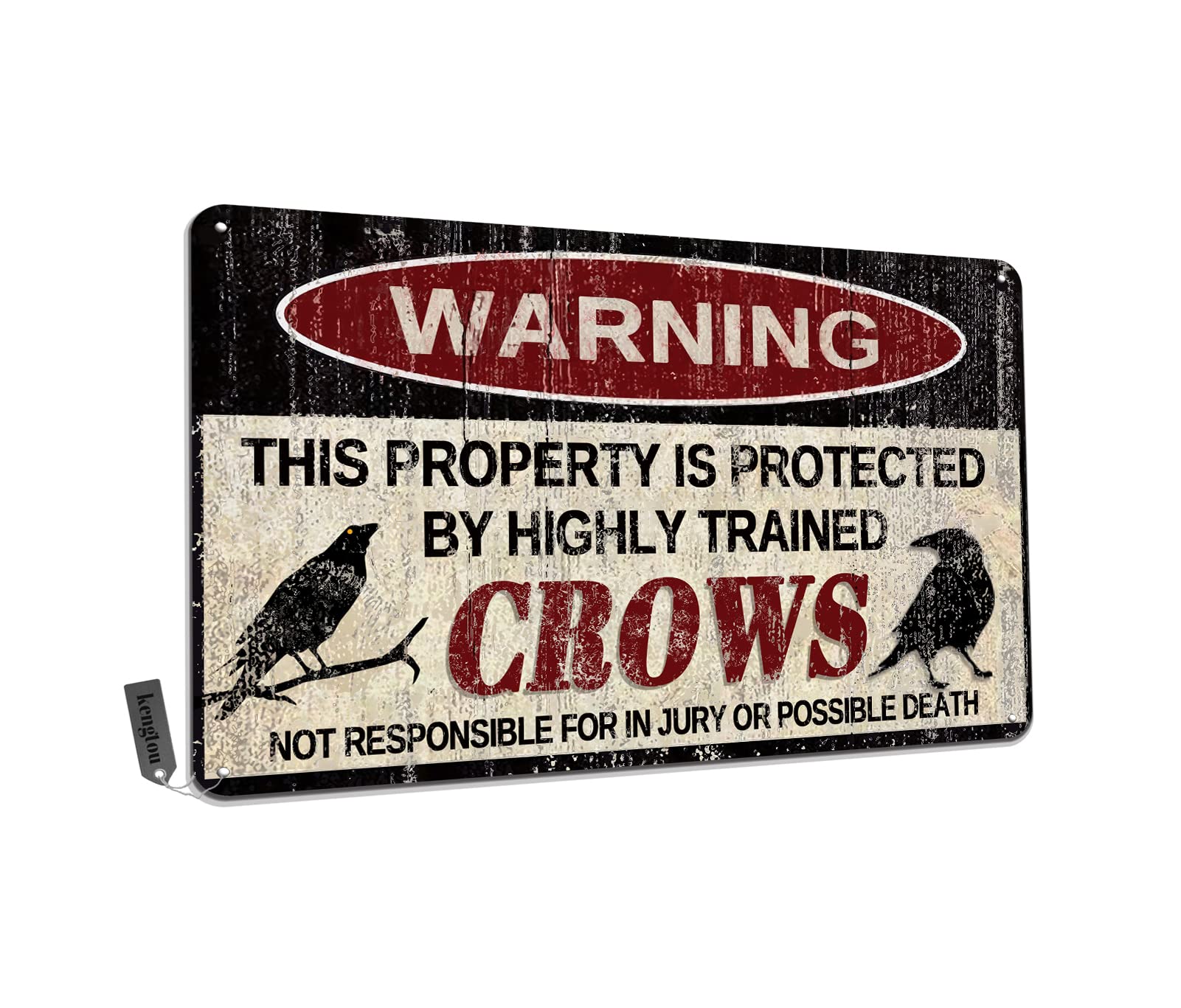 Chickens Tin Sign, Funny Metal Sign, Vintage Wall Decor 12x8 Inch - Warning This Property Protected by Chickens