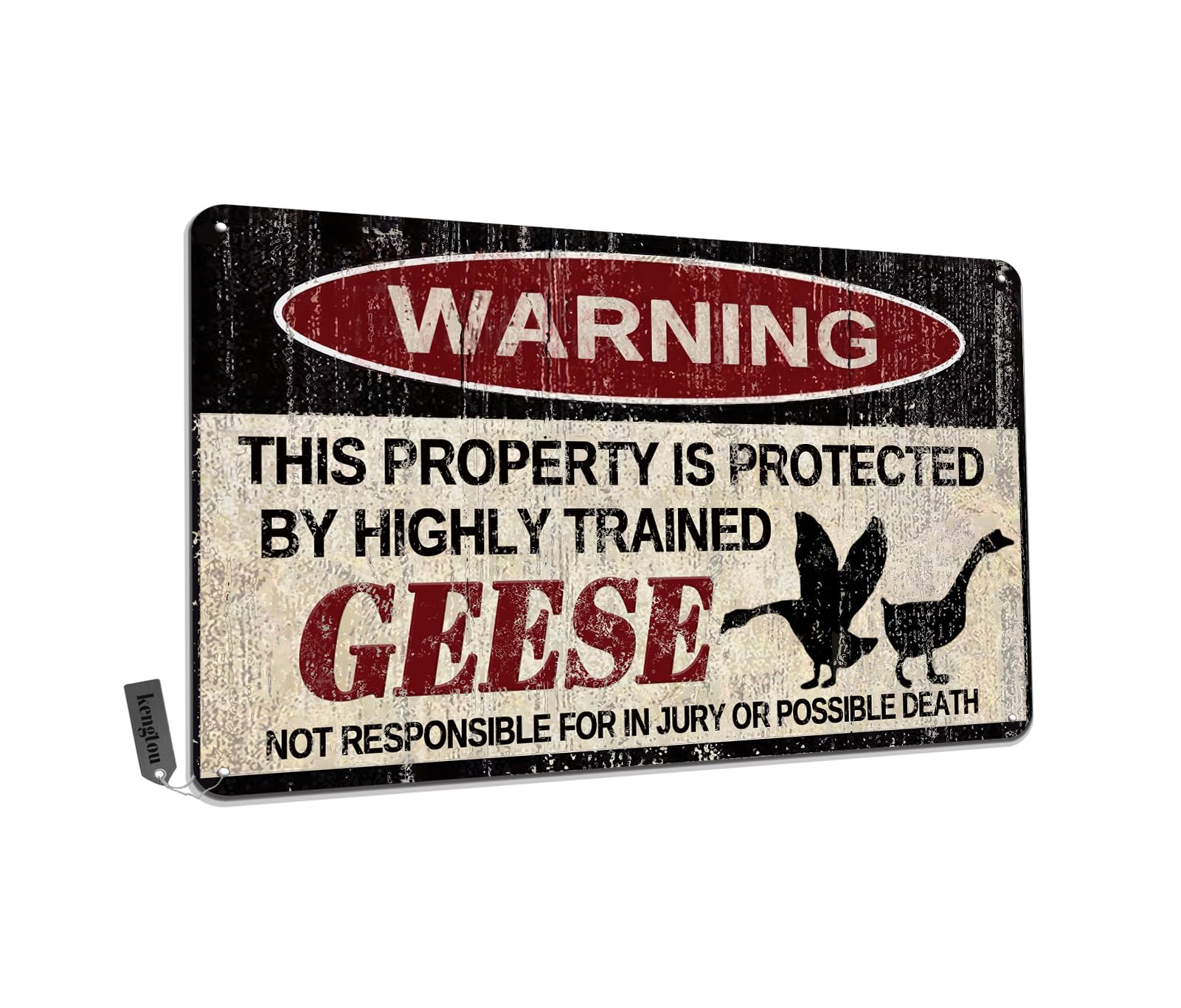 Chickens Tin Sign, Funny Metal Sign, Vintage Wall Decor 12x8 Inch - Warning This Property Protected by Chickens