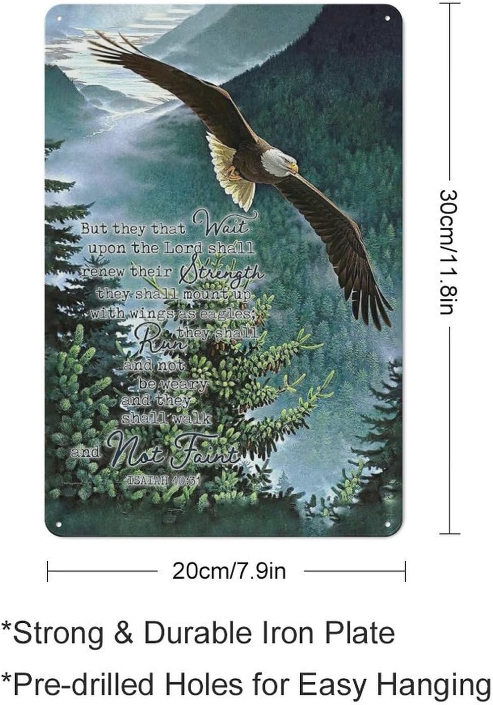 Rustic Metal Tin Sign Eagle Scripture Decor Wall Art Bible Verse Pictures Wall Decor Eagle Prints Painting Religious Eagle Decorations Artwork for Bedroom Living Room 8x12inch